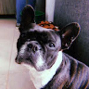 Meet your Posher, Daniella